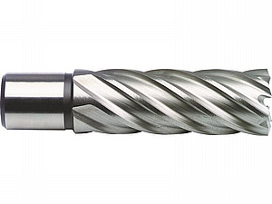 ���� ����